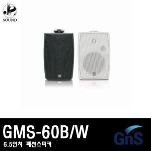 [GNS] GMS-60