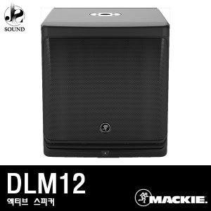 MACKIE - DLM12
