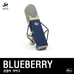 [BLUE] BLUEBERRY (블루/마이크/레코딩/녹음/방송용)