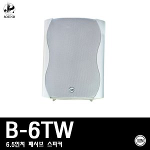 [LEEM] B-6TW (림/임산업/스피커/매장용/카페용/앰프)